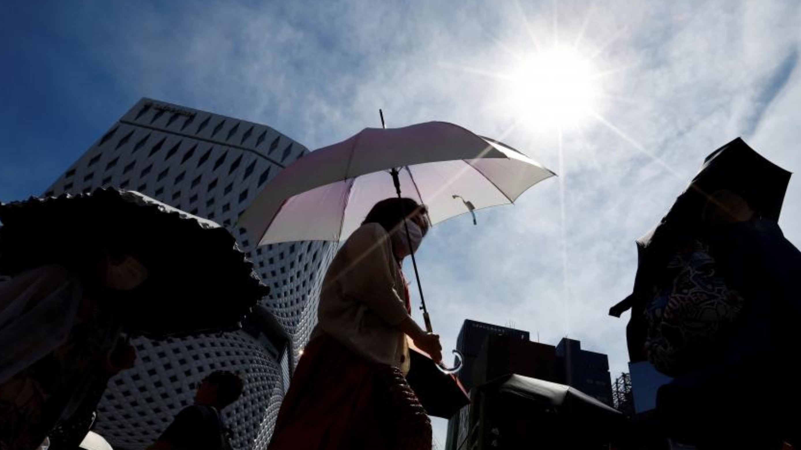 Heatwave in Japan, six dead in Tokyo