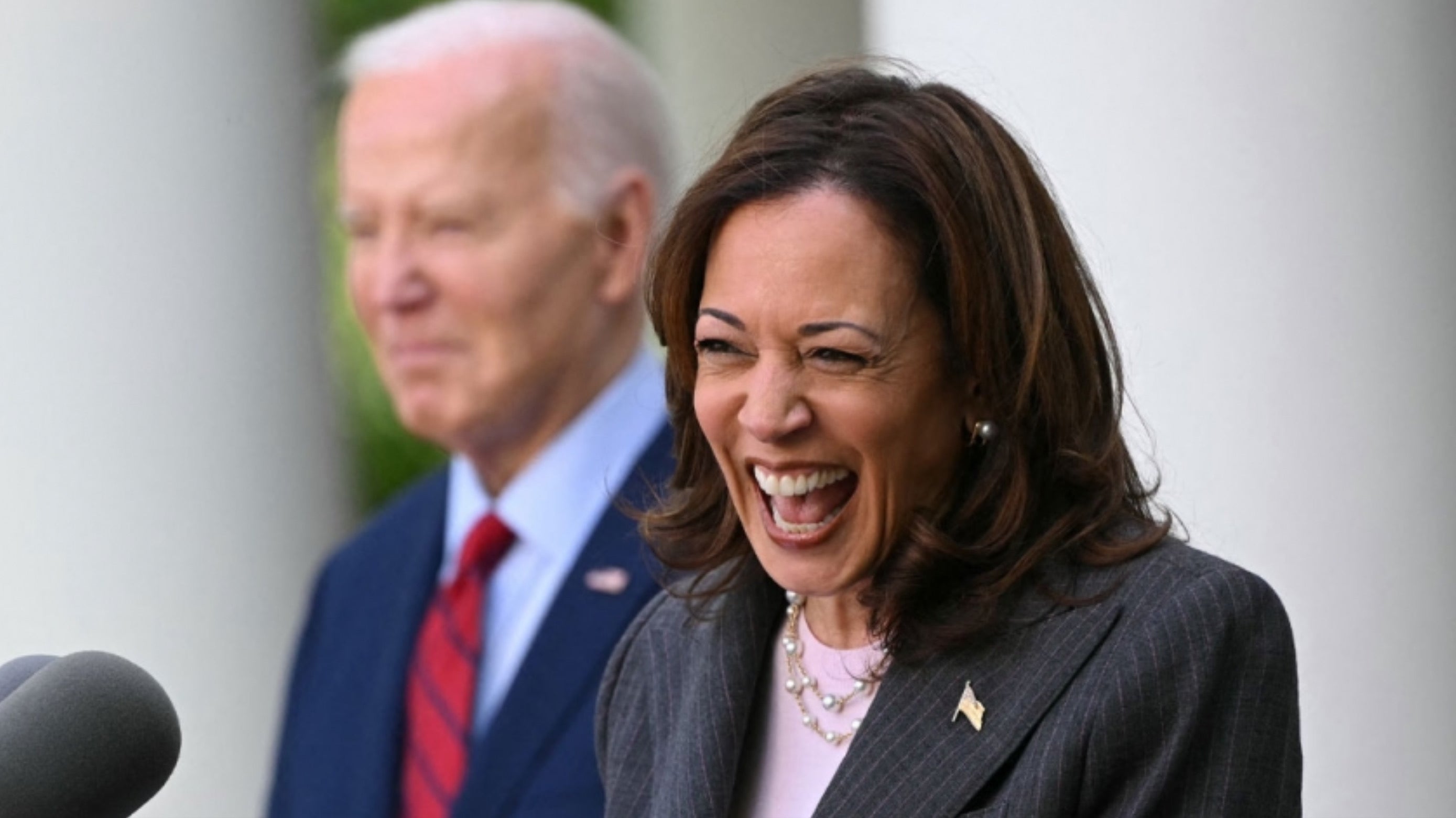 US presidential election: Kamala Harris speaks out for the first time since Joe Biden's withdrawal