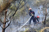 Fires resume in Gironde: nearly 6800 hectares of forest have gone up in smoke