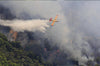A fire has already covered 125 hectares of vegetation in the Alpilles in France