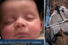 A 4-month-old baby miraculously escapes a tornado in the United States: he was found in a tree