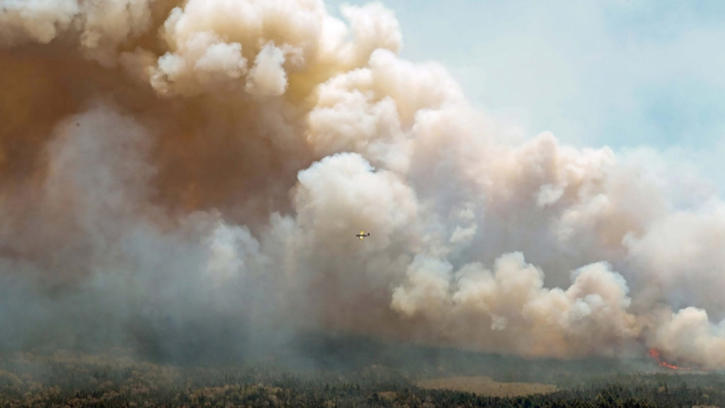 Fires in Canada: Quebec also affected and forced to evacuate 11,000 people