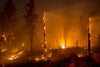 Thousands evacuated in California due to wildfires, state of emergency declared