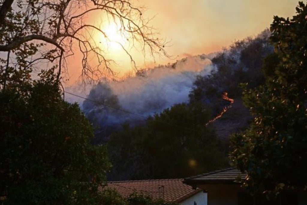 California fires: a thirtieth victim of the Los Angeles fires discovered