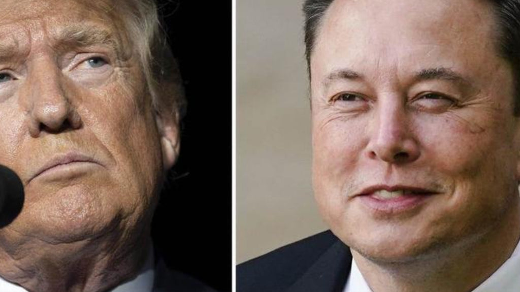 Radical theories, cronyism and “cyberattack”: what to take away from Elon Musk's interview with Donald Trump